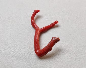 Italienische Rote Koralle Ast: Polierter Edelstein Stick (57 x 32 mm)