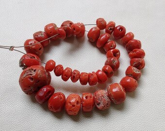 May include: A strand of vibrant red coral beads in various shapes and sizes. The beads are strung together, showcasing a natural, organic aesthetic. The coral's rich color and texture are prominent.