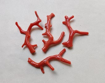Branche de corail rouge italien, pierres précieuses, bâtons polis, fabrication de bijoux (49,40 ct)