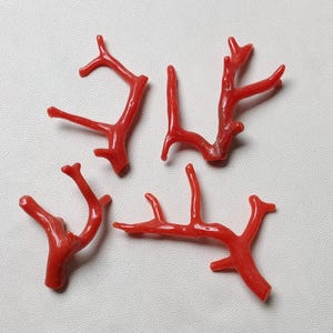 Vintage Italienische Rote Koralle Zweig Lot - Edelstein Schmuck machen