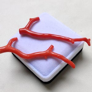 Italian Red Coral Branch, Polished Gemstone, Jewelry Making (2 Pcs)