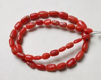 Natürliche italienische rote Koralle, Reiskoralle (25,4 cm)