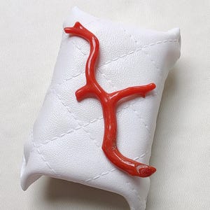 Natural Italian Orange Coral Branch, Polished Gemstone, Jewelry Making