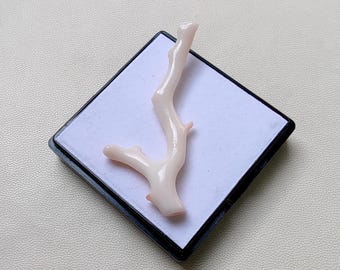 Natural White Japanese Coral Branch, Jewelry Making (54x2mm)