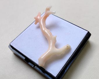 Stok van goede kwaliteit, gepolijst, 100% natuurlijke Japanse koraalstaaf edelsteen, sieraden maken