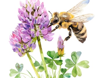 9 Bee and Flower Clipart, Floral Bee, Printable Watercolor clipart, High Quality JPG PNG, Digital download, Paper craft, junk journal