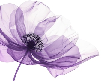 11 Elegant Transparent Flower Clipart: Translucent Floral Designs, JPG & PNG (Digital Download)