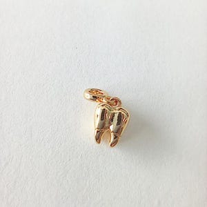 Puede incluir: Un dije dorado con forma de molar. El dije tiene un pequeño lazo en la parte superior para sujetarlo a un collar o pulsera. El diente tiene crestas detalladas y un acabado brillante.