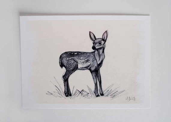 Items similar to Art Print - Fawn Pencil Sketch - Deer 