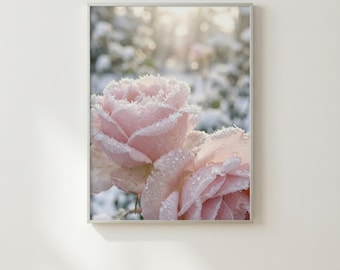 Frosted Pink Rose Art | Winter Floral Print | Romantic Nature Photography | Icy Botanical Wall Decor