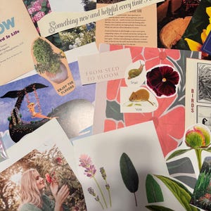 Könnte beinhalten: Eine Collage mit botanischen Bildern und Texten. Enthält eine Frau, die an einer Blume riecht, eine Wal-Illustration und verschiedene Pflanzen- und Blumenaufkleber. Der Text enthält "FROM SEED TO BLOOM" und "Enjoy the Flavors".