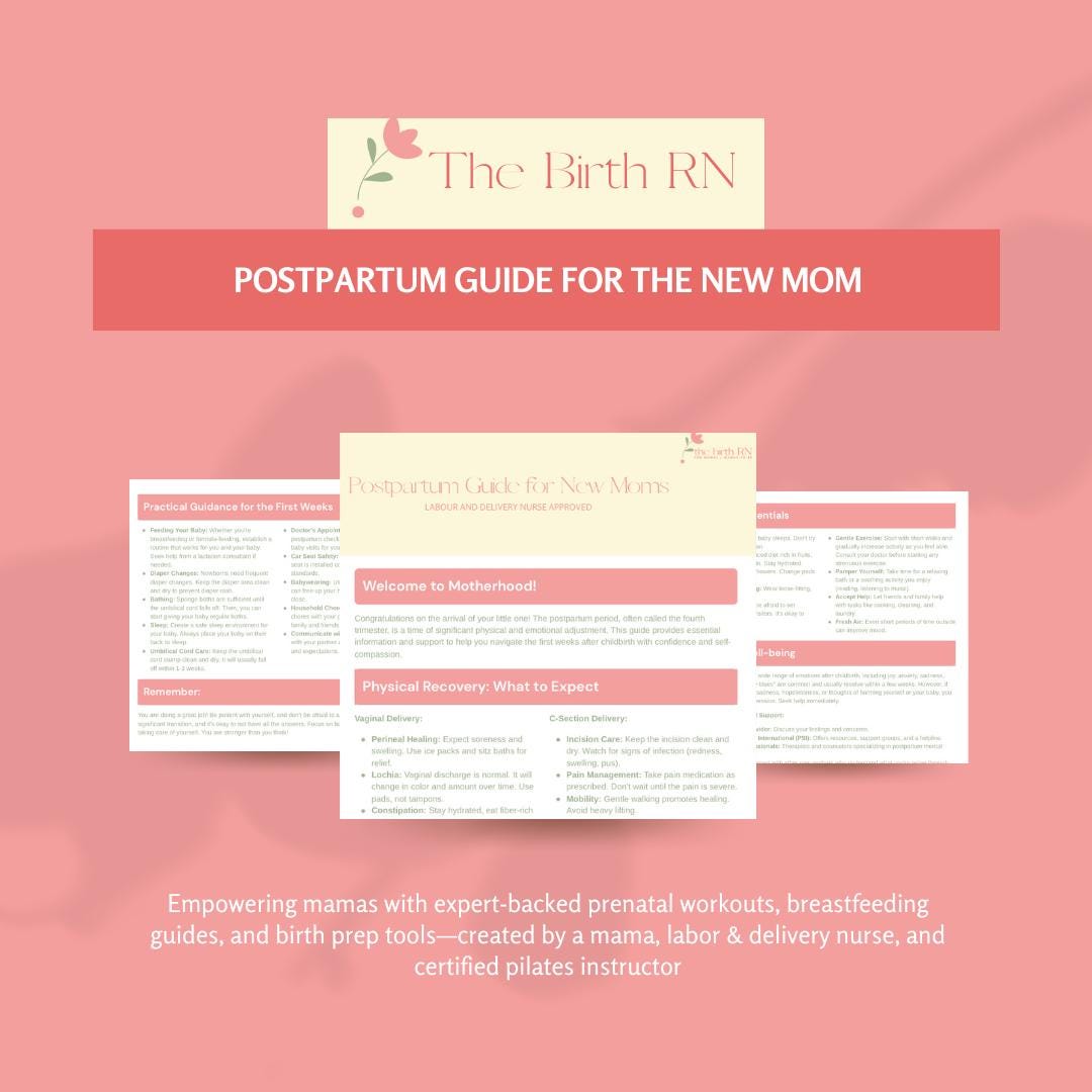 Postpartum Guide for the New Mom – Digital Download for Healing & Self ...