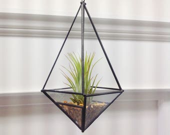 Elongated Pyramid Glass Orb Air Plant Planter 7.5 Inches Tall