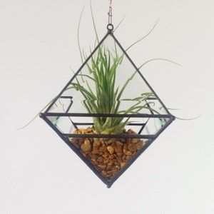 Large Pyramid Beveled Glass Orb Air Plant Planter with Bevel Accent. image 4