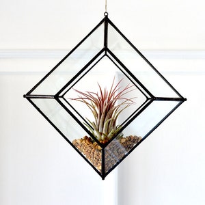 Trapezoid Geometric Air Plant Planter with Plant and Gravel Made from Reclaimed Window Glass