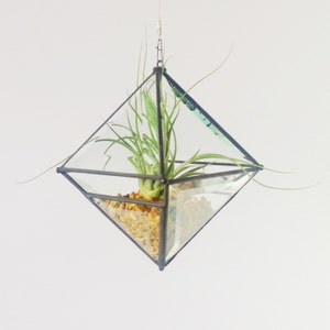 Large Pyramid Beveled Glass Orb Air Plant Planter with Bevel Accent. image 5