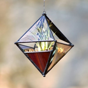 Pyramid Beveled Glass Orb Air Plant Planter with Variegated Dark Red Accent.