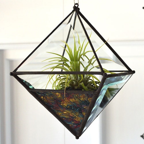 Pyramid Beveled Glass Orb Air Plant Planter With Variegated - Etsy ...