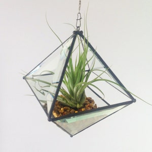 Large Pyramid Beveled Glass Orb Air Plant Planter with Bevel Accent. image 3