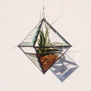 Large Pyramid Beveled Glass Orb Air Plant Planter with Bevel Accent. image 1