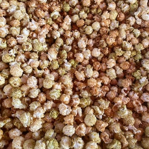 Caramel Apple Popcorn - Sweet & Tart Gourmet Popcorn, Fair Food, Party Favor, Gourmet Popcorn, Caramel Apple, Fall Treat, Fall Snack. 5 cups