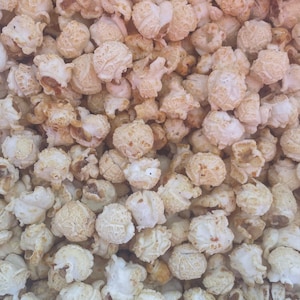 Jalapeño Cheddar Popcorn - Savory Popcorn, Gourmet Popcorn, Mild Spice Snack, Spicy Snack, Game Night Snack, Party Favor, Snack Gift. 5 Cups