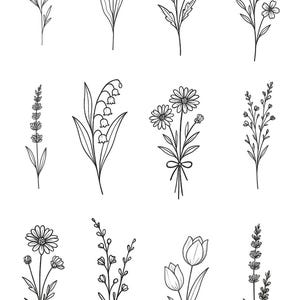 Könnte beinhalten: Schwarz-Weiß-Illustrationen verschiedener Blumen, darunter Tulpen, Gänseblümchen und Lavendel. Die detaillierten Zeichnungen eignen sich für Designprojekte oder als dekorative Elemente.