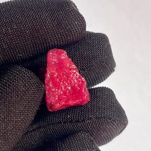 Puede incluir: Una gema de rubí en bruto, sin cortar, de color rojo vibrante. El rubí se sostiene en un guante negro, mostrando su forma natural irregular y superficie texturizada. El fondo es blanco liso.