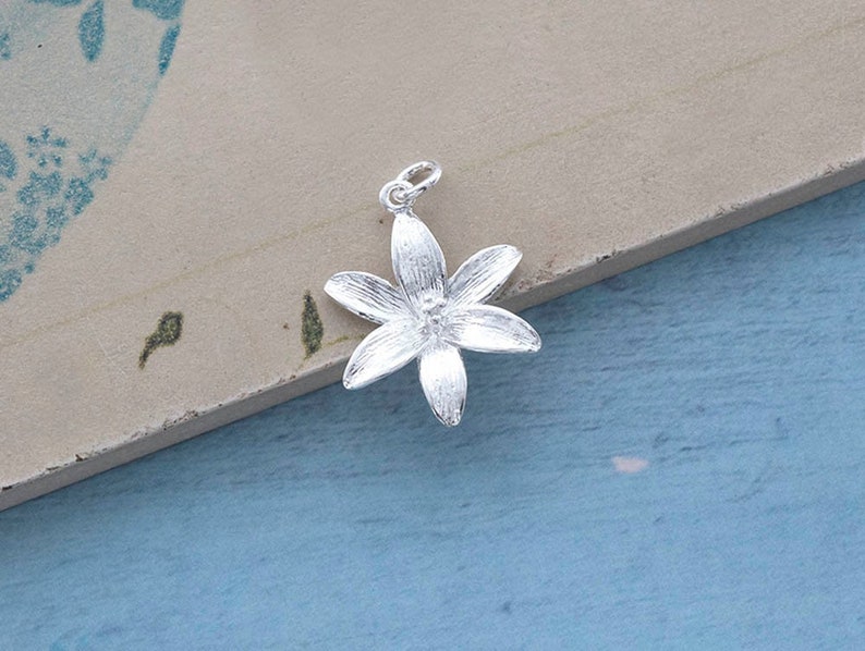 Puede incluir: Un charm de plata en forma de flor de cinco puntas. La flor tiene una superficie texturizada y un dise&ntilde;o delicado.