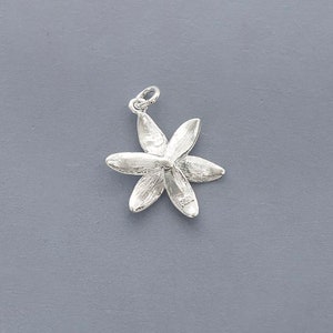 Puede incluir: Un amuleto de plata en forma de flor de cinco puntas con p&eacute;talos texturizados.