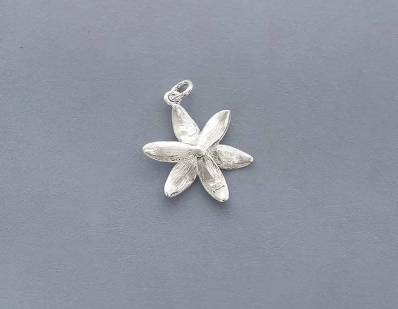 Puede incluir: Un amuleto de plata en forma de flor de cinco puntas con p&eacute;talos texturizados.