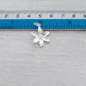 Puede incluir: Un charm de plata en forma de flor de cinco puntas. El charm mide aproximadamente 2,5 cm de di&aacute;metro y tiene un bucle en la parte superior para sujetarlo a un collar o pulsera.