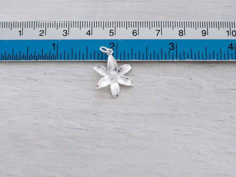 Puede incluir: Un charm de plata en forma de flor de cinco puntas. El charm mide aproximadamente 2,5 cm de di&aacute;metro y tiene un bucle en la parte superior para sujetarlo a un collar o pulsera.