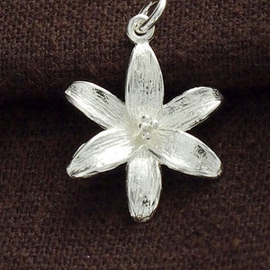 Puede incluir: Un colgante de flor de plata con un acabado texturizado. El colgante tiene forma de estrella de cinco puntas con un peque&ntilde;o centro.