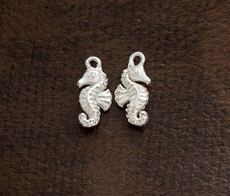Pu&ograve; includere: Due ciondoli a forma di cavalluccio marino in argento con disegni dettagliati. I ciondoli sono perfetti per la creazione di gioielli o per aggiungere un tocco di fantasia ai mestieri.