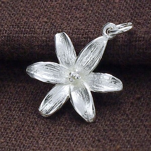 Puede incluir: Un colgante de flor de plata con un dise&ntilde;o detallado y texturizado. El colgante tiene forma de flor de cinco p&eacute;talos con un peque&ntilde;o centro.