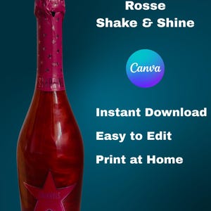 Personalized Champagne Bottle – Hand Painted Decorative Gift