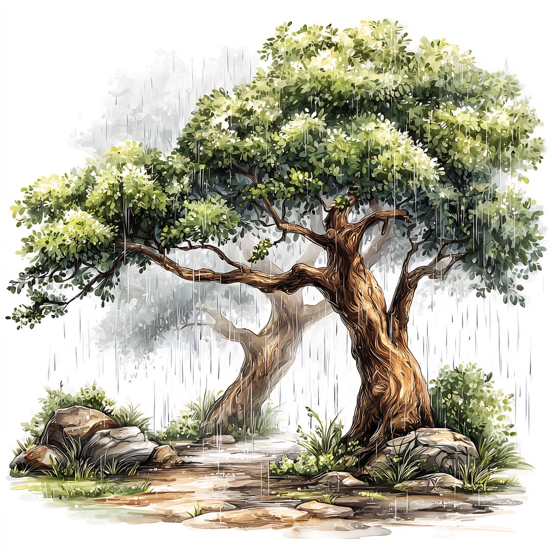 Rain Falling Through Forest Trees Watercolor Illustration, Misty ...