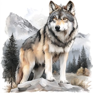 May include: Watercolor illustration of a gray and tan wolf standing on a rock. The wolf has amber eyes and is set against a backdrop of mountains and evergreen trees. The artwork has a soft, painterly style.