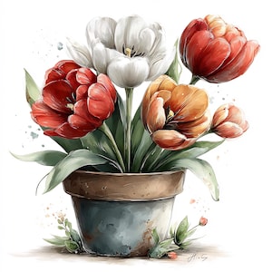 May include: Watercolor painting of a bouquet of tulips in a rustic blue and brown pot. The tulips are in shades of red, orange, and white, with green leaves. The pot has a weathered appearance, and the background is white.