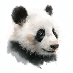 Könnte beinhalten: Detaillierte Aquarellmalerei eines Pandabärenkopfes. Der Panda hat schwarze Markierungen um Augen und Ohren, mit weißem Gesicht und Körper. Das Kunstwerk ist vor einem weißen Hintergrund platziert, der die Merkmale des Pandas hervorhebt.