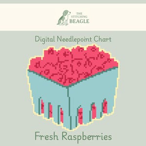May include: A digital needlepoint chart titled Fresh Raspberries featuring a pixel art illustration of a light blue basket filled with bright pink raspberries. The logo for The Stitching Beagle is displayed at the top of the light gray background.