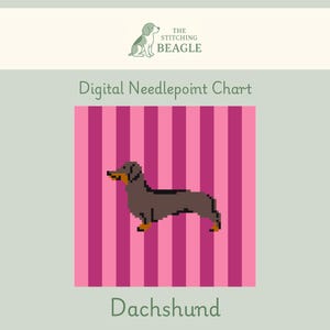 May include: Digital needlepoint chart featuring a pixelated dachshund dog. The dog is brown with a tan snout and paws, set against a pink and magenta striped background. The text "Dachshund" is below the image.