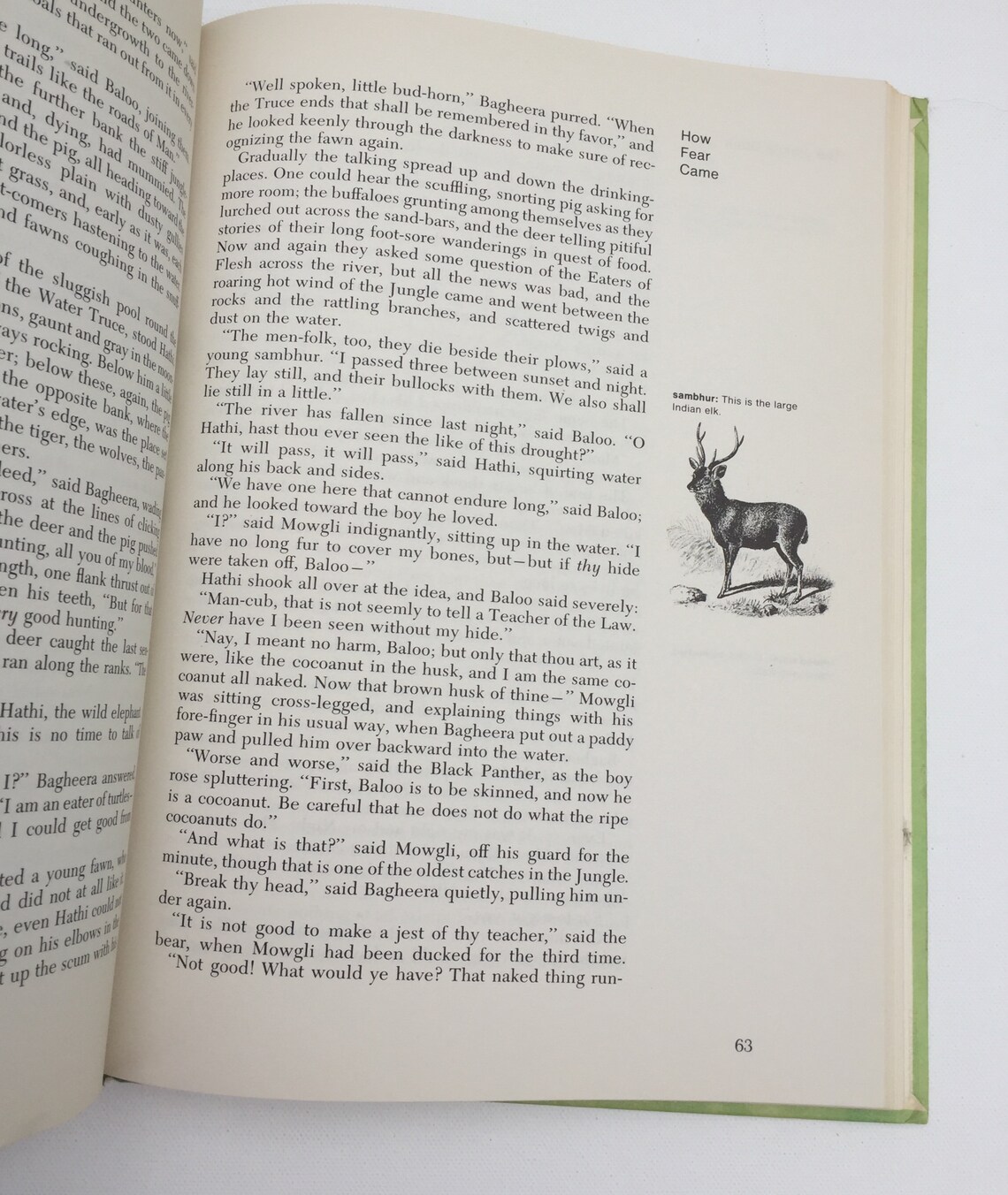 the jungle rudyard kipling the jungle rudyard kipling