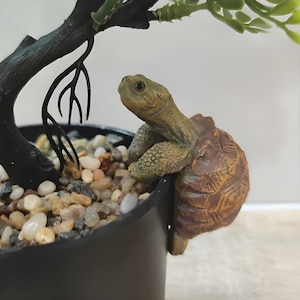 Maceta colgante con forma de tortuga / Maceta colgante con forma de tortuga / Maceta de resina con forma de tortuga / Maceta colgante adorable / Decoración de jardín con forma de tortuga