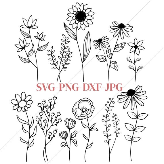 Wildflowers svg, flower sketch svg, cricut and silhouette, Instant Download, Floral svg, Wild flower svg, png, dxf, jpg