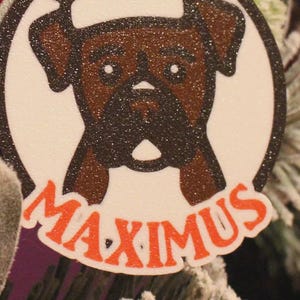 May include: A round Christmas ornament featuring a brown Boxer dog wearing a Santa hat. The dog's name, "MAXIMUS", is written in orange below the dog. The ornament is hanging on a Christmas tree with frosted leaves and red berries.