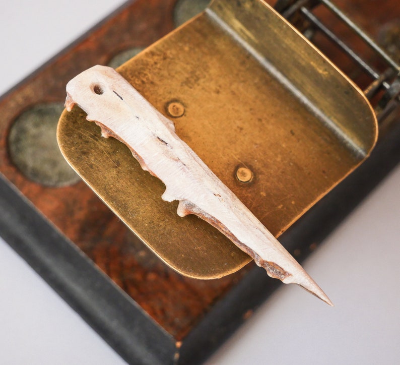 pendant Genuine wild deer horn with hole