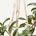 see more listings in the Medium Plant Hangers section