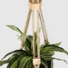 see more listings in the Medium Plant Hangers section